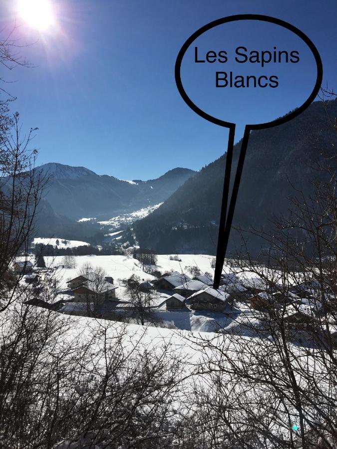 Atelier Des Sapins Blancs Vacheresse Exterior foto
